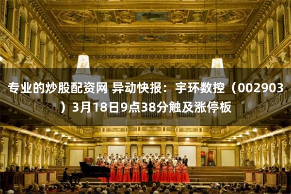 专业的炒股配资网 异动快报：宇环数控（002903）3月18日9点38分触及涨停板