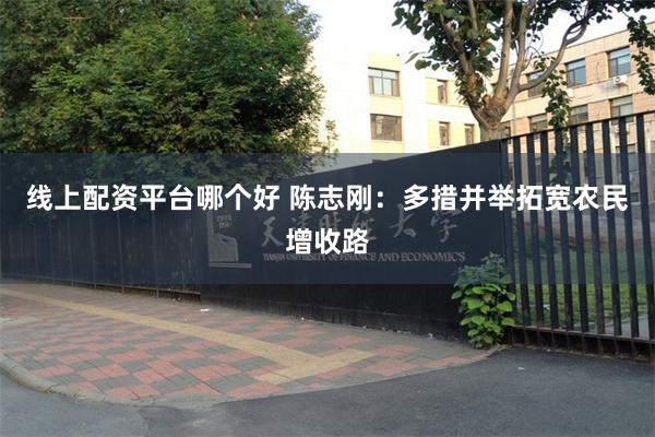 线上配资平台哪个好 陈志刚：多措并举拓宽农民增收路