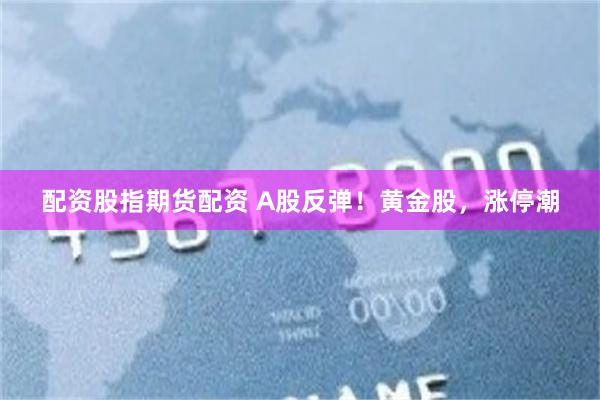 配资股指期货配资 A股反弹！黄金股，涨停潮