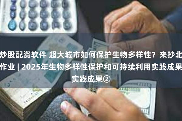 炒股配资软件 超大城市如何保护生物多样性？来抄北京作业 | 2025年生物多样性保护和可持续利用实践成果②