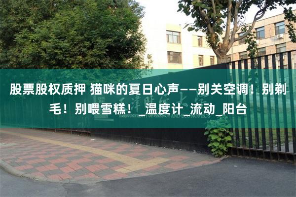 股票股权质押 猫咪的夏日心声——别关空调！别剃毛！别喂雪糕！_温度计_流动_阳台